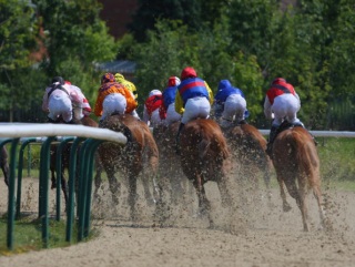 Today's best bet comes in the last at Wolverhampton