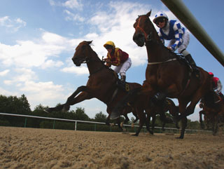 All bets at Wolverhampton this afternoon.
