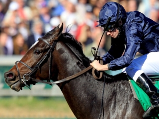 Wrote in action at the Breeders' Cup.