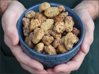A bowl of truffles!