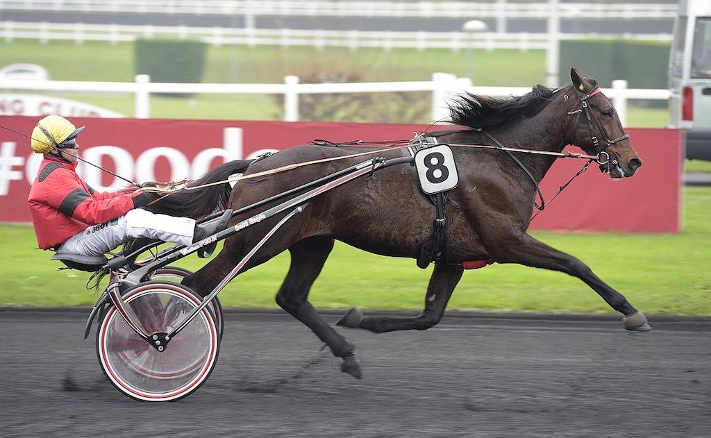 Elitloppet är igång