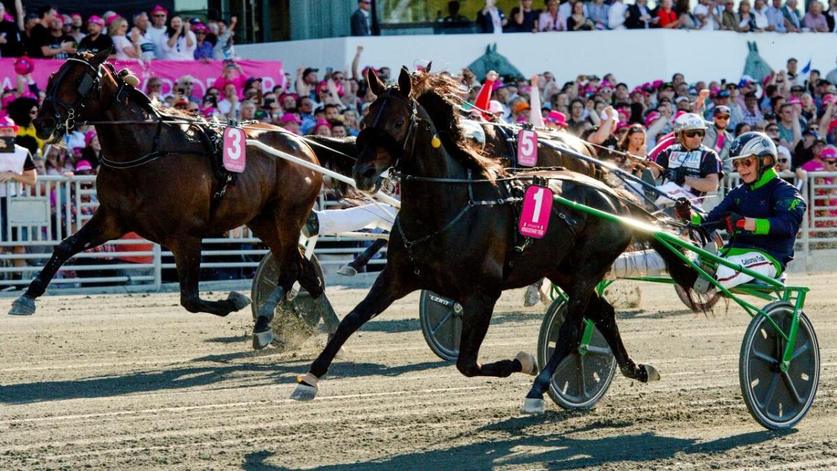 Elitloppsvecka på Spelbörsen