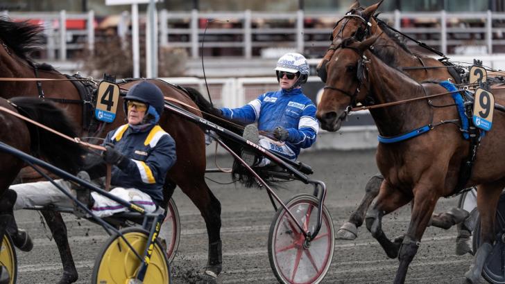 Travet - bokningarnas mecka
