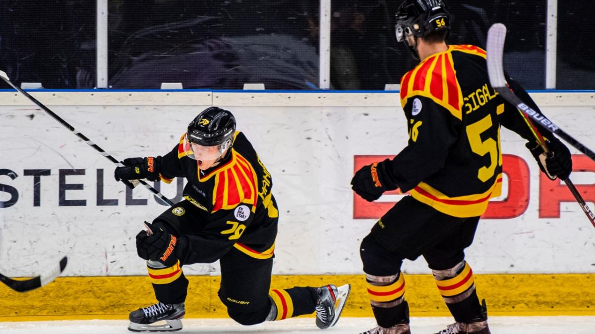 Rolig action på gång i Gävle