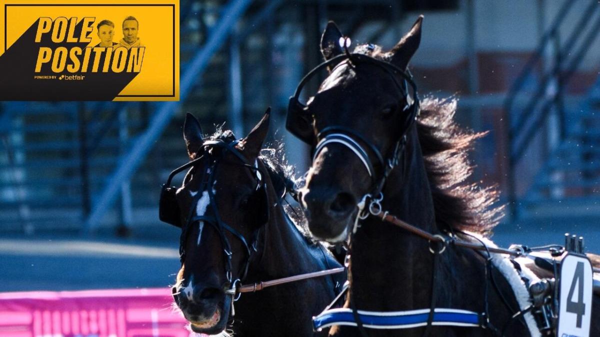 "Toppodds 9 gånger av 10"