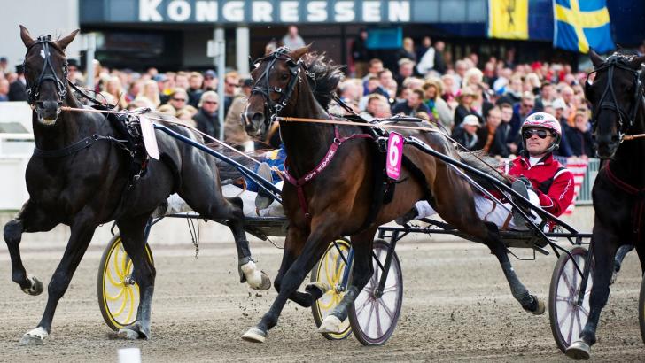 Svenskt trav på Spelbörsen