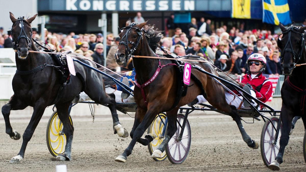 Svenskt trav på Spelbörsen