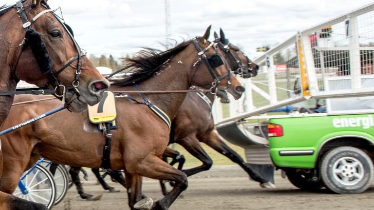 Rolig spelkväll i Bollnäs
