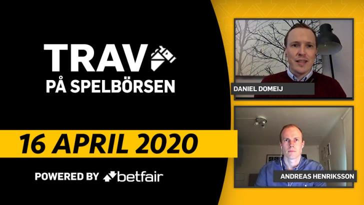 Trav på Spelbörsen: "Högkapabel häst med fina kvaliteter"