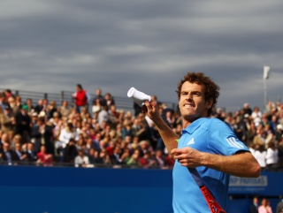 Will Murray be in majestic mood today?