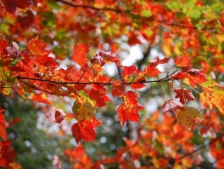 This week's event takes place in beautiful New England